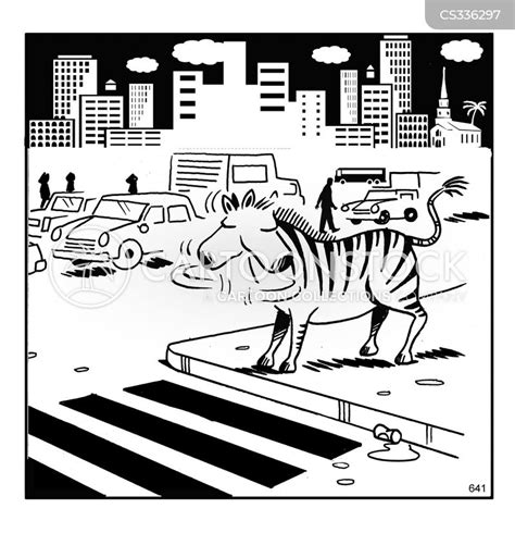 Zebra Crossings Cartoons and Comics - funny pictures from CartoonStock