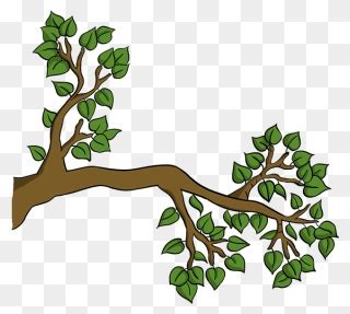 How To Draw Tree Branch Clipart (#5317770) - PinClipart