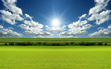 HD wallpaper: Bright Day Light HD, green field, nature, landscape ...