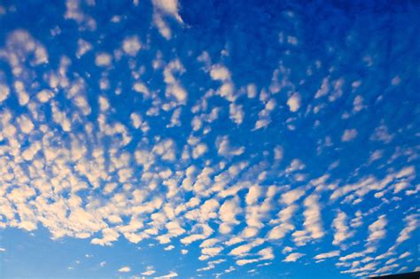 Altocumulus - another nice cloud @ Windy Community