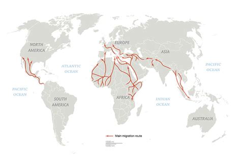 The World’s Congested Human Migration Routes in 5 Maps | IOM Blog