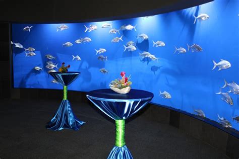 Omaha's Henry Doorly Zoo and Aquarium - Omaha Wedding Venues