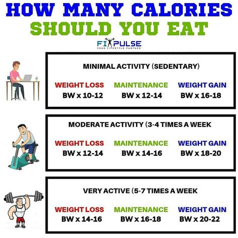 Calorie Calculator