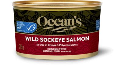 Canned Wild Sockeye Salmon Recipe | Bryont Blog