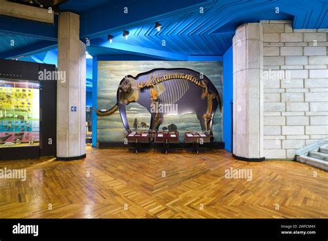 View of the paleontology gallery, featuring fossils, bones, rock artifacts, including a large ...