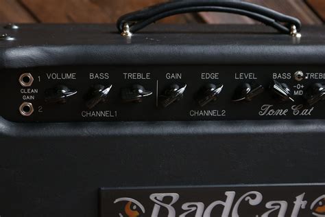 Bad Cat Tone Cat HD Amp Head (RARE!) > Amps & Preamps | Rock n Roll ...