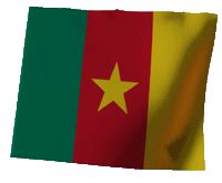 カメルーン共和国の旗