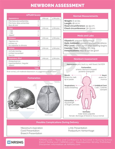 Newborn Physical Exam Template