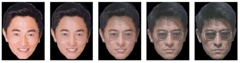 A study on face morphing algorithms