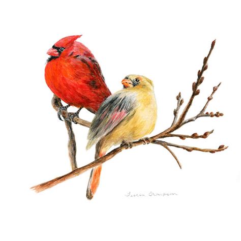 Cardinal Print Cardinal Art Cardinal Pair Bird Print Red - Etsy Canada