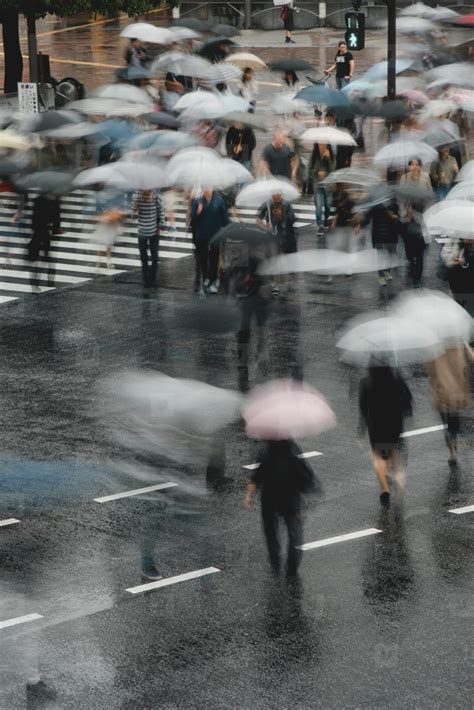 shibuya crossing stock photo (106798) - YouWorkForThem