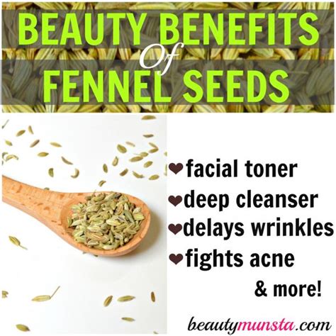 10 Beauty Benefits of Fennel Seeds - beautymunsta - free natural beauty ...