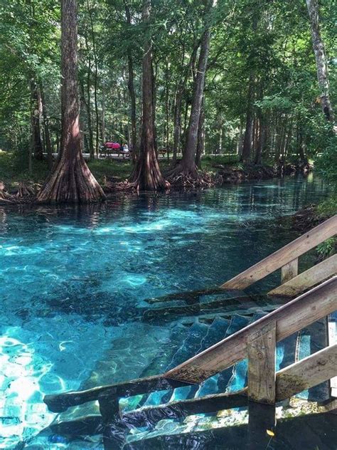 Ginnie Springs in High Springs, FL. I love staircases that lead into the river - brottbacken # ...