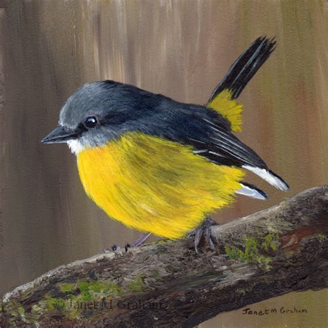 Yellow Bird Painting at PaintingValley.com | Explore collection of Yellow Bird Painting