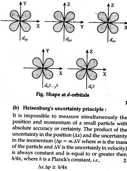 Draw the shapes of d-orbitals - CBSE Class 11 Chemistry - Learn CBSE Forum