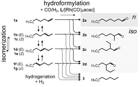 Reaction scheme for the hydroformylation of 1-octene (1a), with the two ...