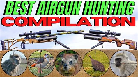 THE BEST AIR GUN HUNTING COMPILATION EVER I CENTRE FIRE AND AIRGUN HUNTING 2021 - YouTube