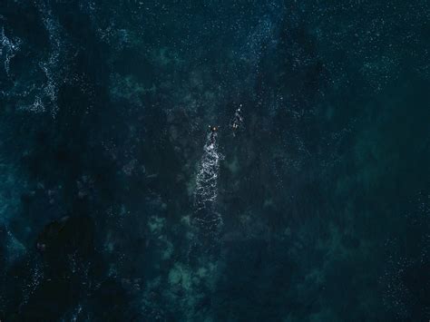 wallpaper ocean, aerial view, swimmers, waves, water HD : Widescreen ...