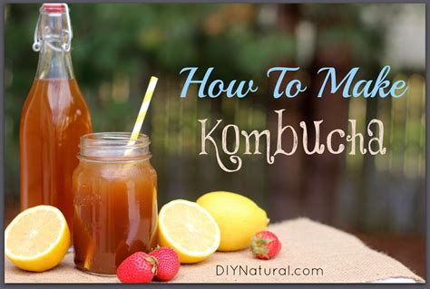 Kombucha Recipe - How To Make It and The Benefits