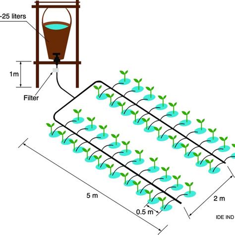 Drip Irrigation Layout Plan