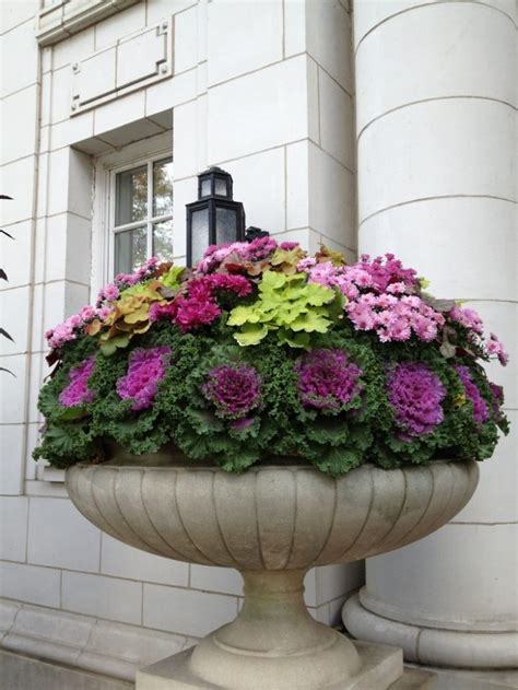 Impressive Ornamental Cabbage Decorations To Beautify Your Outdoors