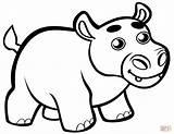 Cute Baby Hippo coloring page  Free Printable Coloring Pages sketch template