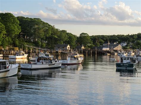 Discover Puffin Island Maine: A Haven for Seabirds and Nature Enthusiasts