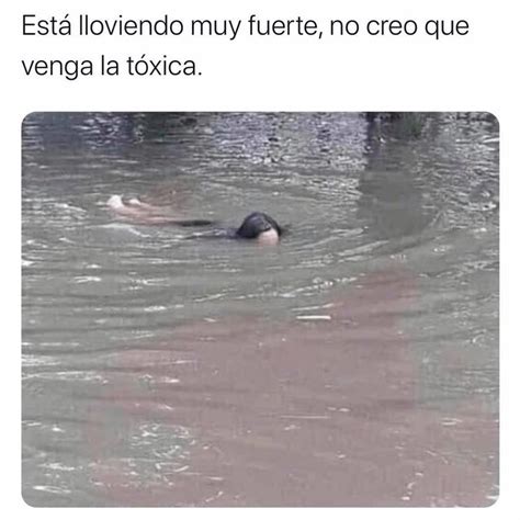 Está lloviendo muy fuerte, no creo que venga la tóxica. - Memes