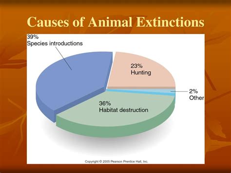 PPT - Biodiversity and Its Decline PowerPoint Presentation, free download - ID:250830