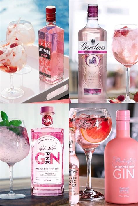 Best flavoured gin in 2022 : the best pink gin and more | Flavoured gin ...