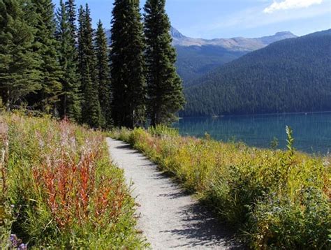 An Easy Hike Around the Exceptionally Beautiful Emerald Lake