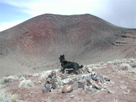 In the Company of Plants and Rocks: Scoria and cinders at Lunar Crater volcanic field