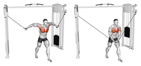 Decline Cable Fly: Benefits, Muscles Worked, Variations - Inspire US