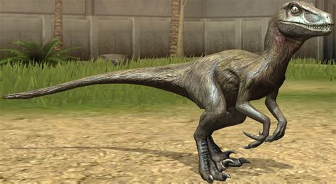 Image - Utahraptor lvl 10.jpg | Jurassic Park wiki | FANDOM powered by ...