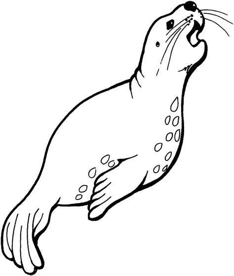 Free Cute Seal Coloring, Download Free Cute Seal Coloring png images ...