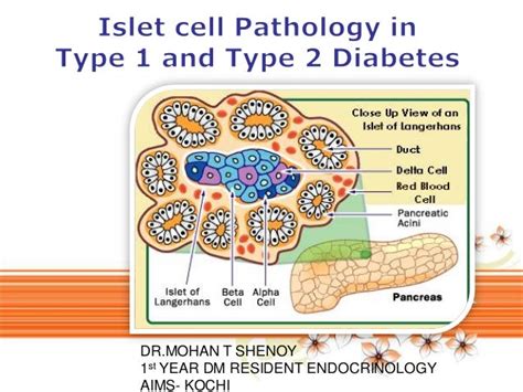 Islet cell Pathology