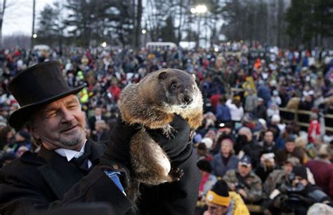 Groundhog Day 2011 in eastern Pennsylvania will star a stuffed animal - pennlive.com