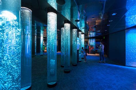 National Aquarium in Baltimore Exhibit Design | CambridgeSeven