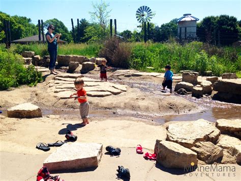 Tamarack Nature Center - An outdoor playyard for kids