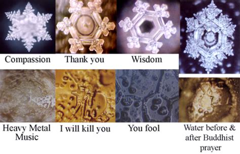 Dr. Emoto's Amazing Water Crystal Photosnikkenergy ~ it's all just energy