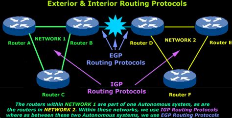 Routing Protocols