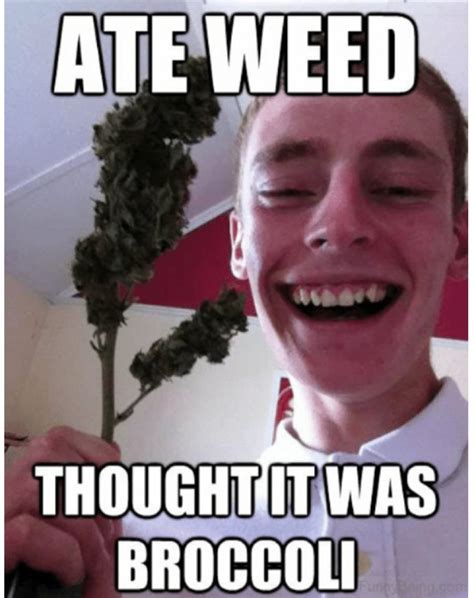 Marijuana Meme of the Day