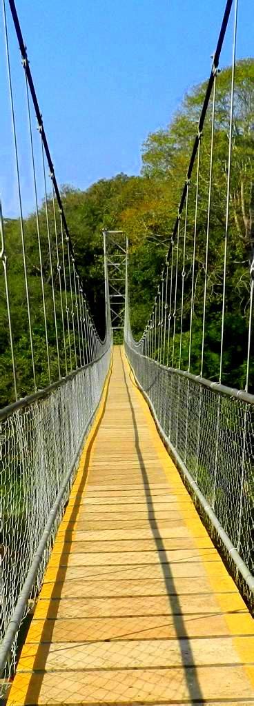 Nilambur Teak Plantation