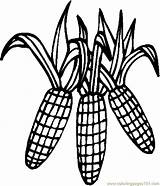 Printable Corn Coloring Page sketch template