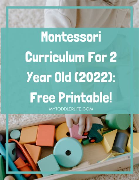 Montessori Curriculum For 2 Year Old (2022): Free Printable! in 2022 | Montessori toddler ...