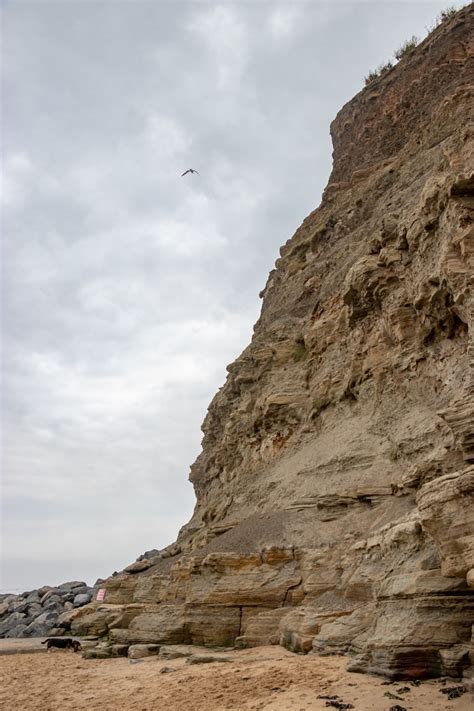 Staithes Beach - Photo "Staithes" :: British Beaches