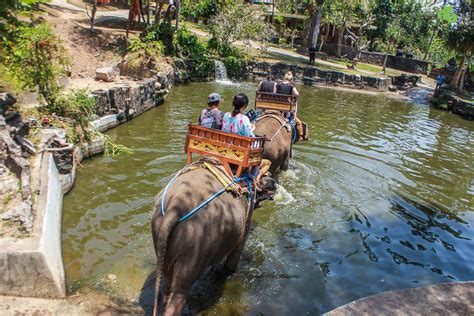 Bali Day Tour | Elephant Ride Bali & Ubud Tour