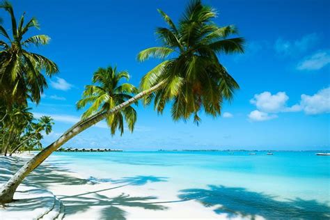 The best beaches in Mauritius - International Travel - delicious.com.au