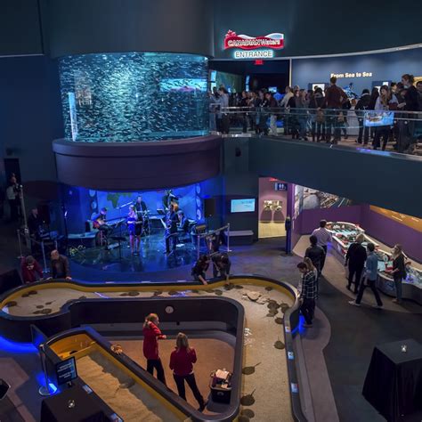 Ripley's Aquarium of Canada: Sharks After Dark | Tiqets