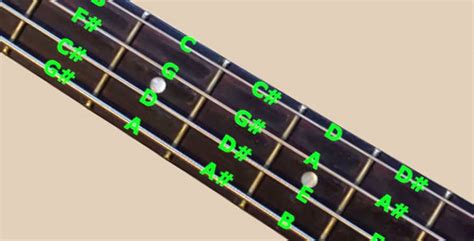 4 String Bass Guitar Chord Chart